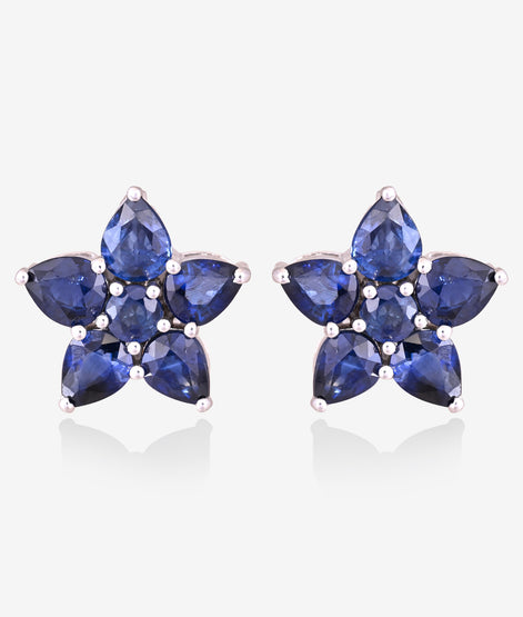 Classic Blue Sapphire and Diamond Earrings