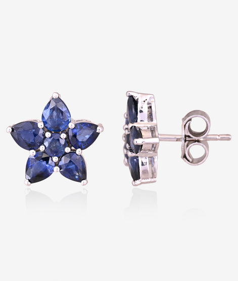 Classic Blue Sapphire and Diamond Earrings
